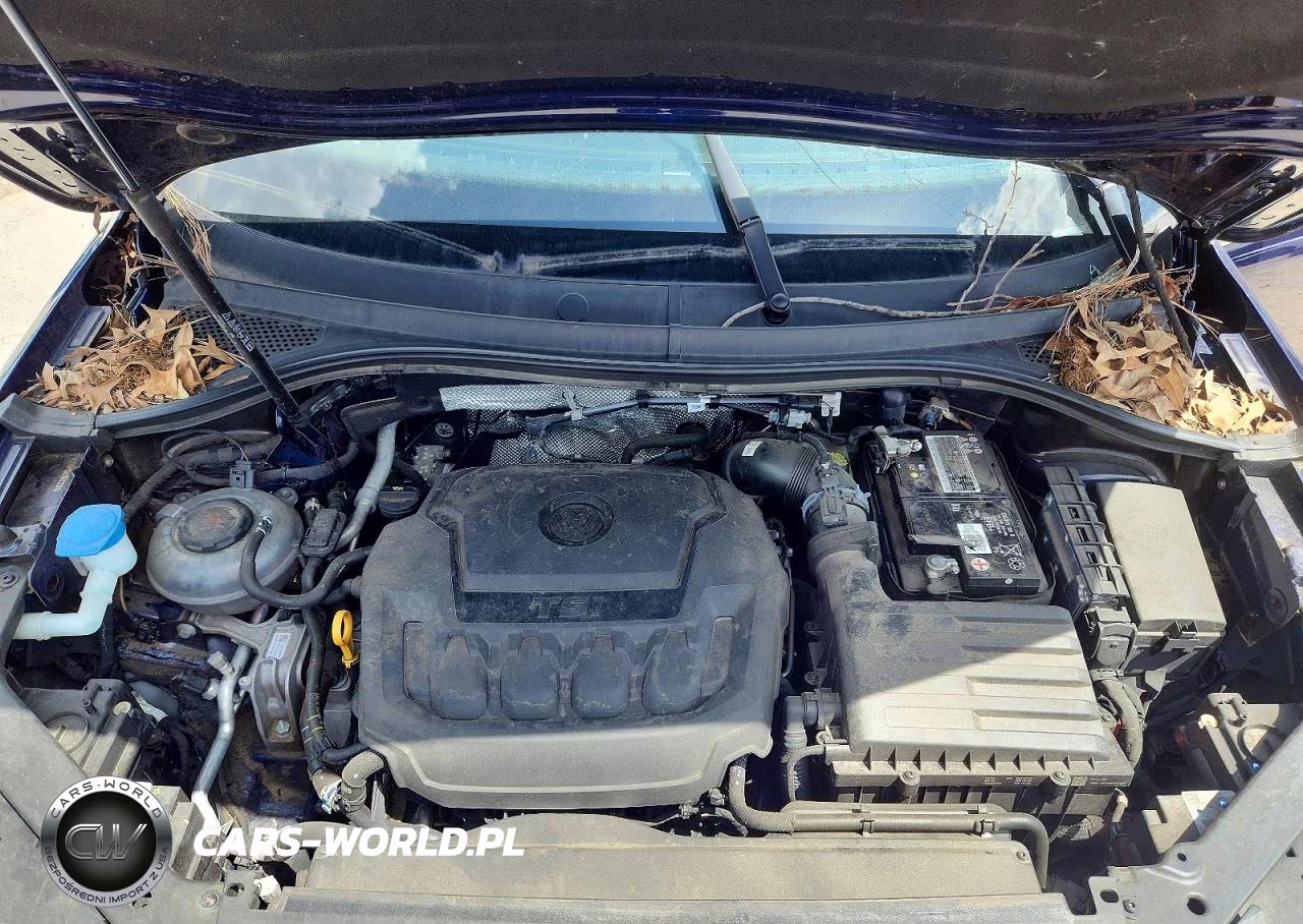 2023 Volkswagen Tiguan Se VIN:3VV3B7AX4PM062280 - 12