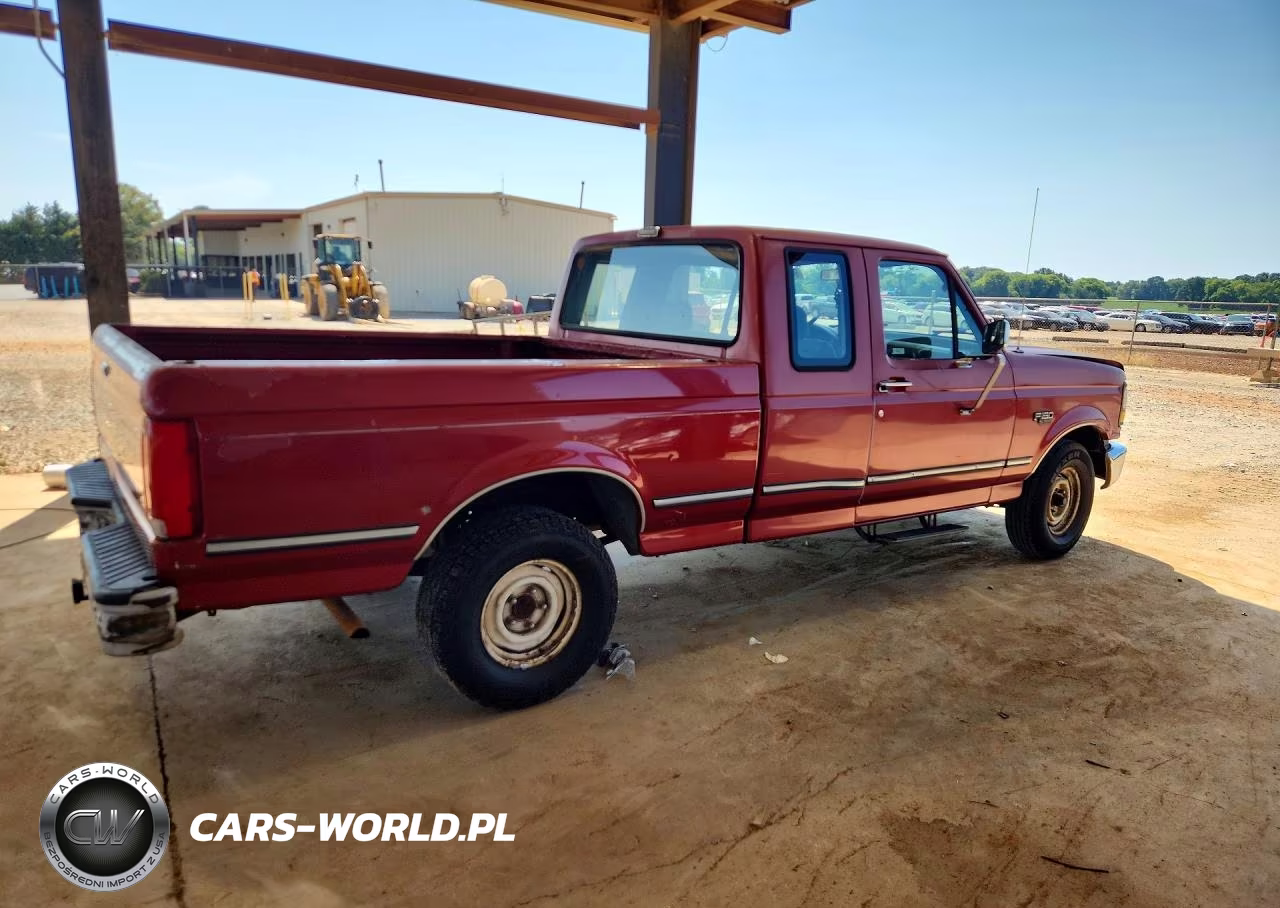 1993 Ford F150 VIN:1FTEX15Y7PKB10435 - 3
