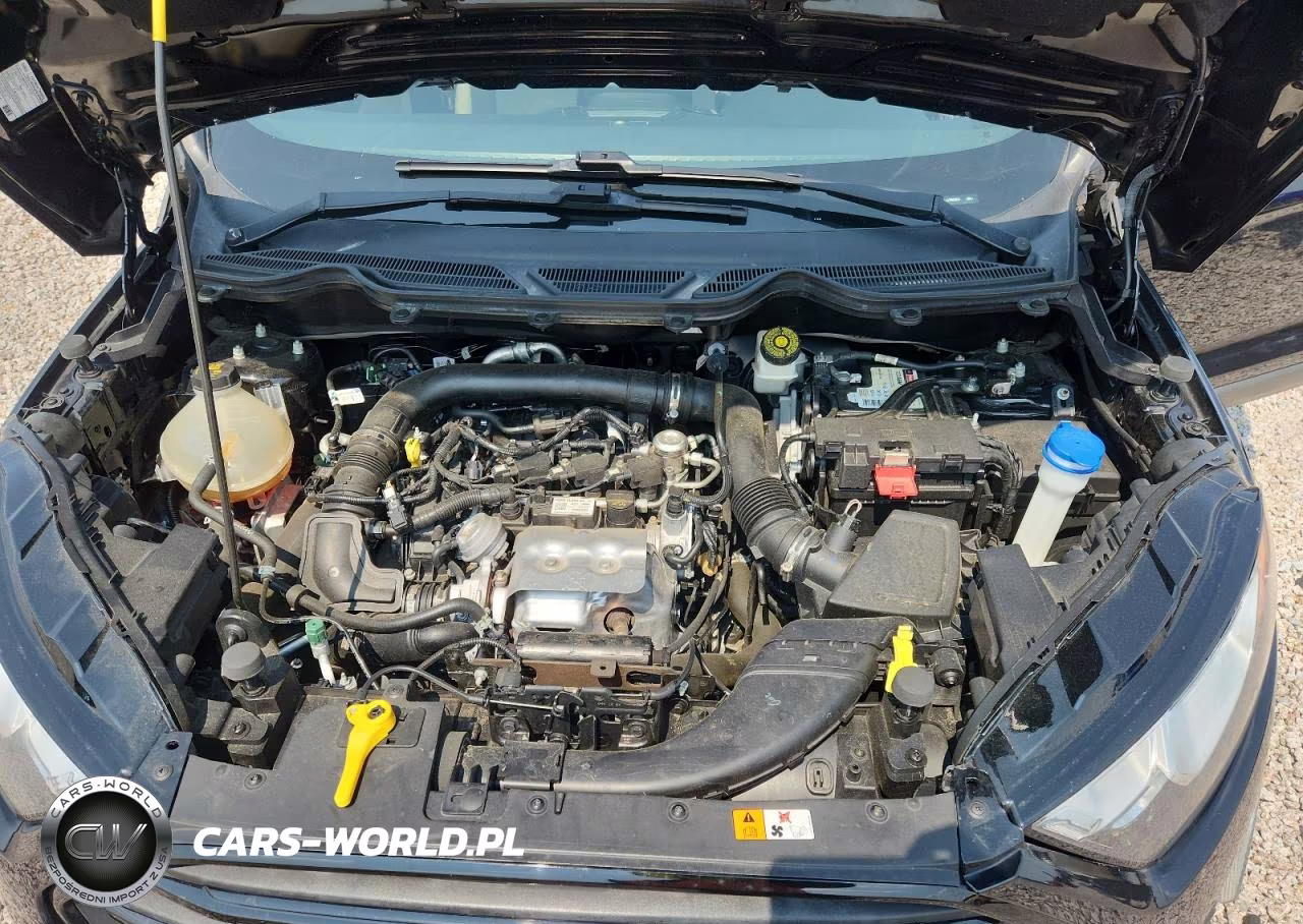 2020 Ford Ecosport S VIN:MAJ3S2FE9LC386254 - 12