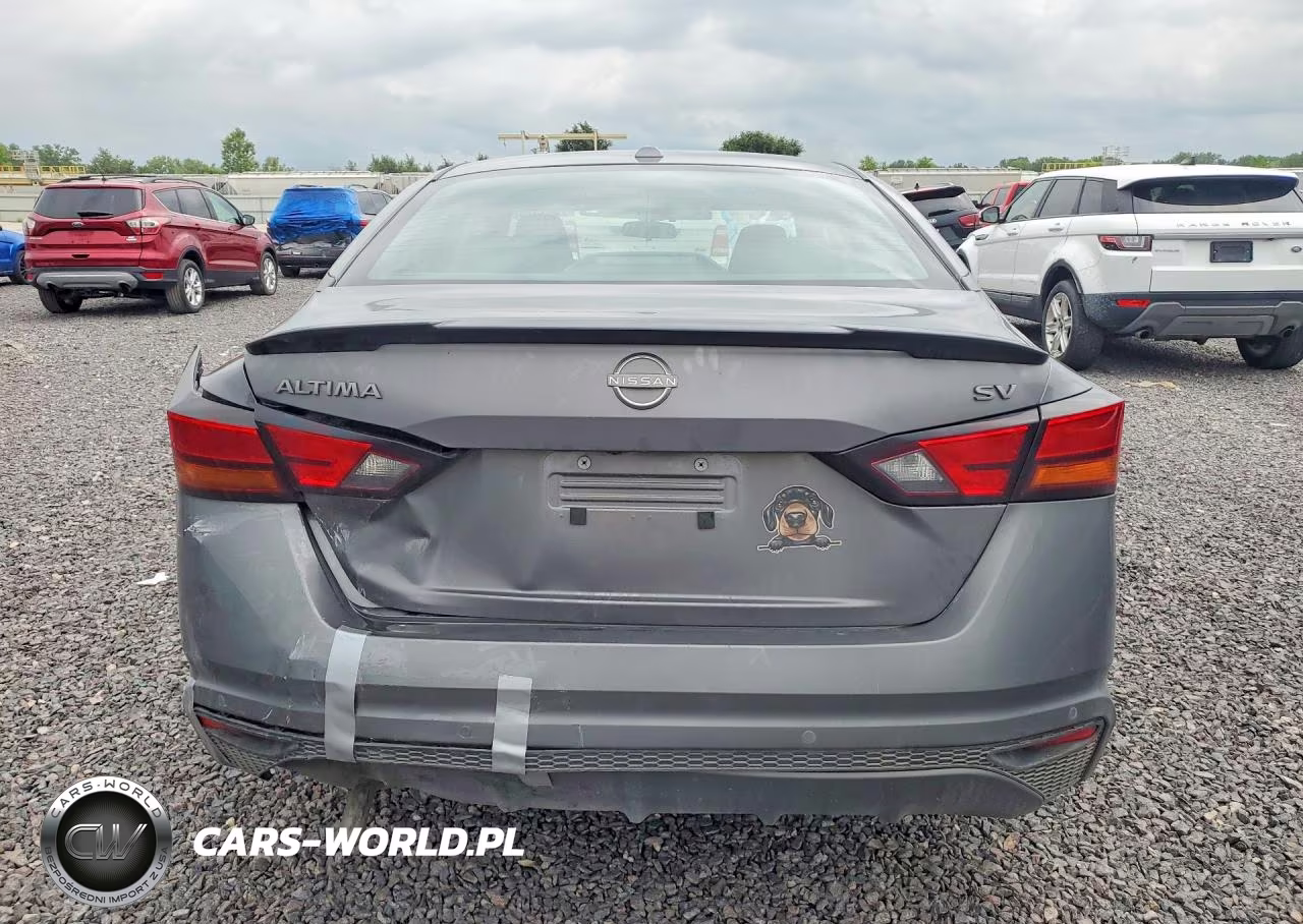 2024 Nissan Altima Sv VIN:1N4BL4DV8RN364332 - 6