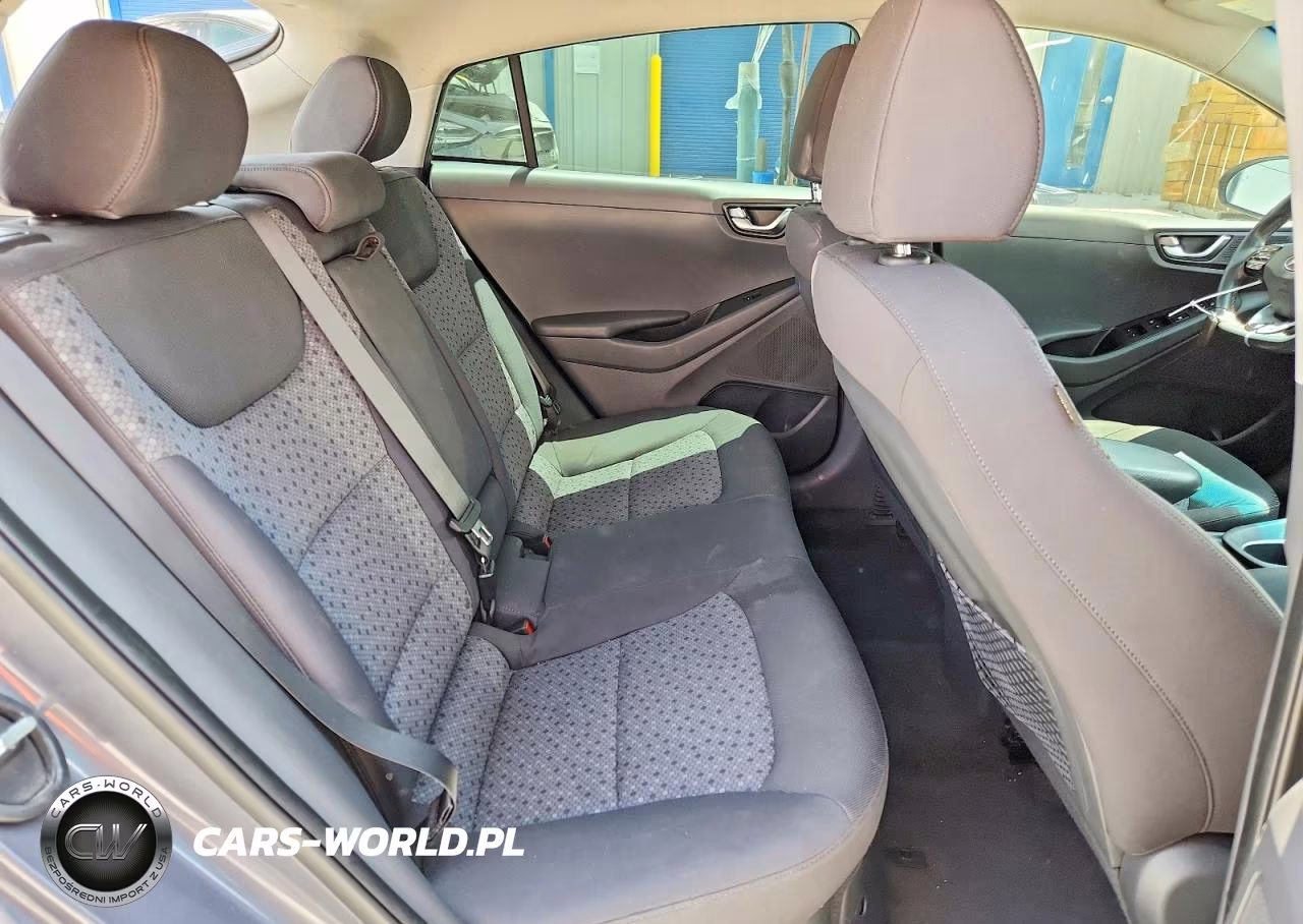 2017 Hyundai Ioniq Sel VIN:KMHC75LC2HU019175 - 10