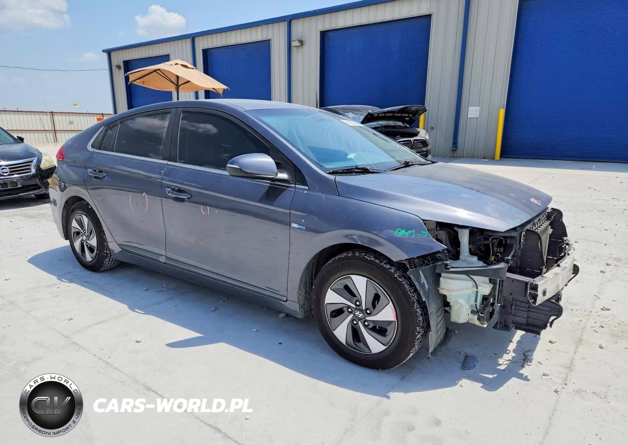 2017 Hyundai Ioniq Sel VIN:KMHC75LC2HU019175 - 4