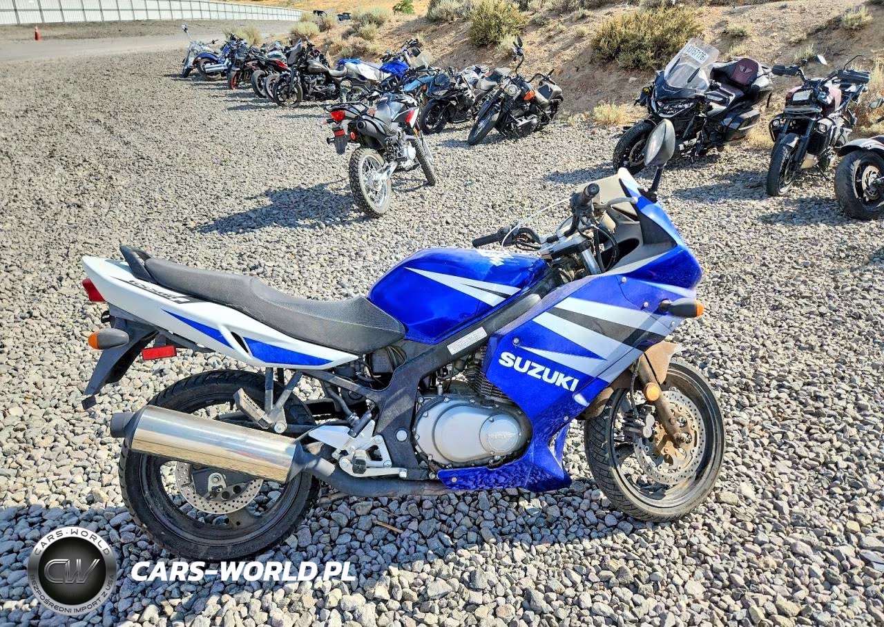 2004 Suzuki Gs500 Fk