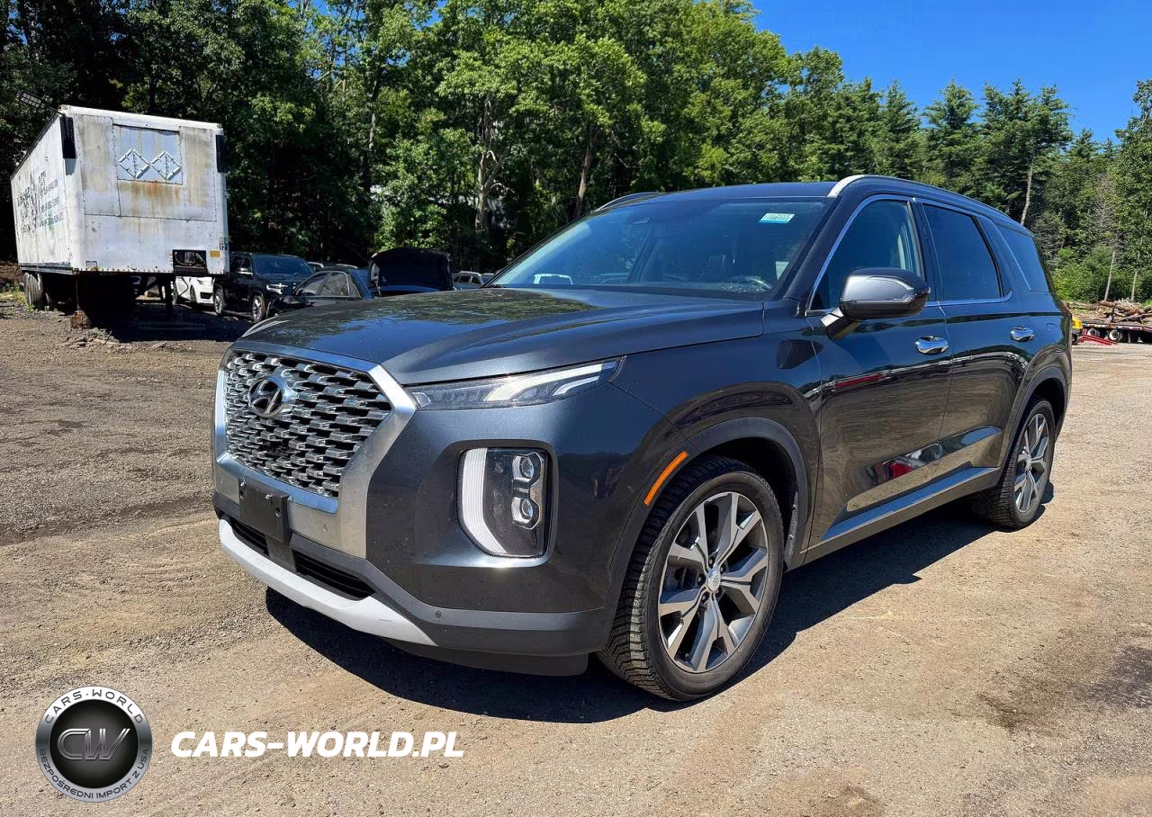2020 Hyundai Palisade Sel VIN:KM8R4DHE0LU066415 - 2