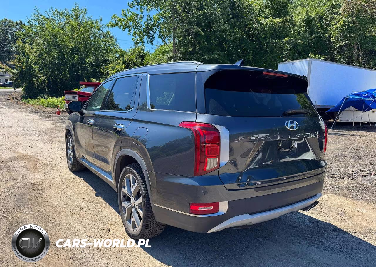2020 Hyundai Palisade Sel VIN:KM8R4DHE0LU066415 - 3