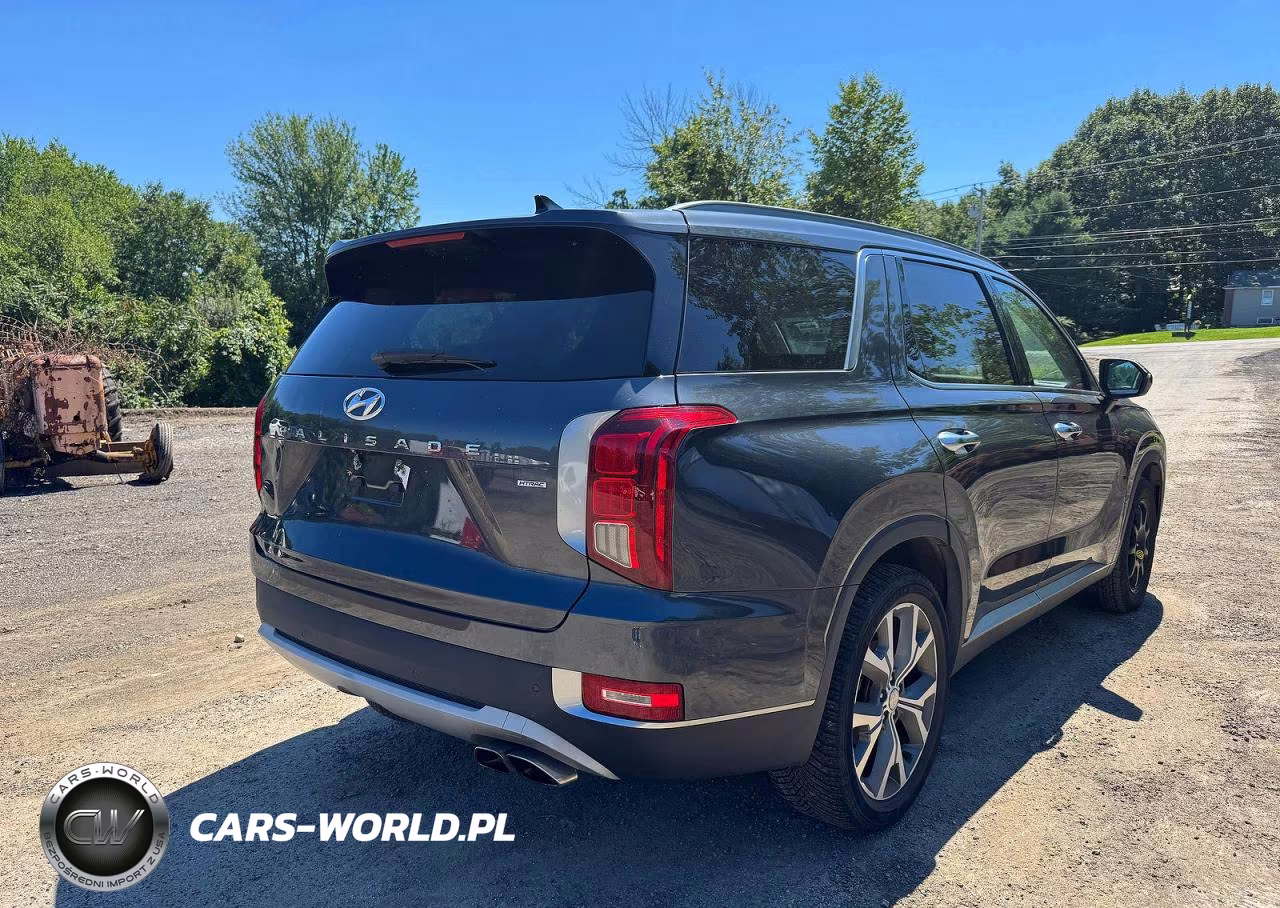 2020 Hyundai Palisade Sel VIN:KM8R4DHE0LU066415 - 4