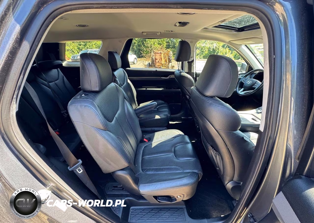 2020 Hyundai Palisade Sel VIN:KM8R4DHE0LU066415 - 6