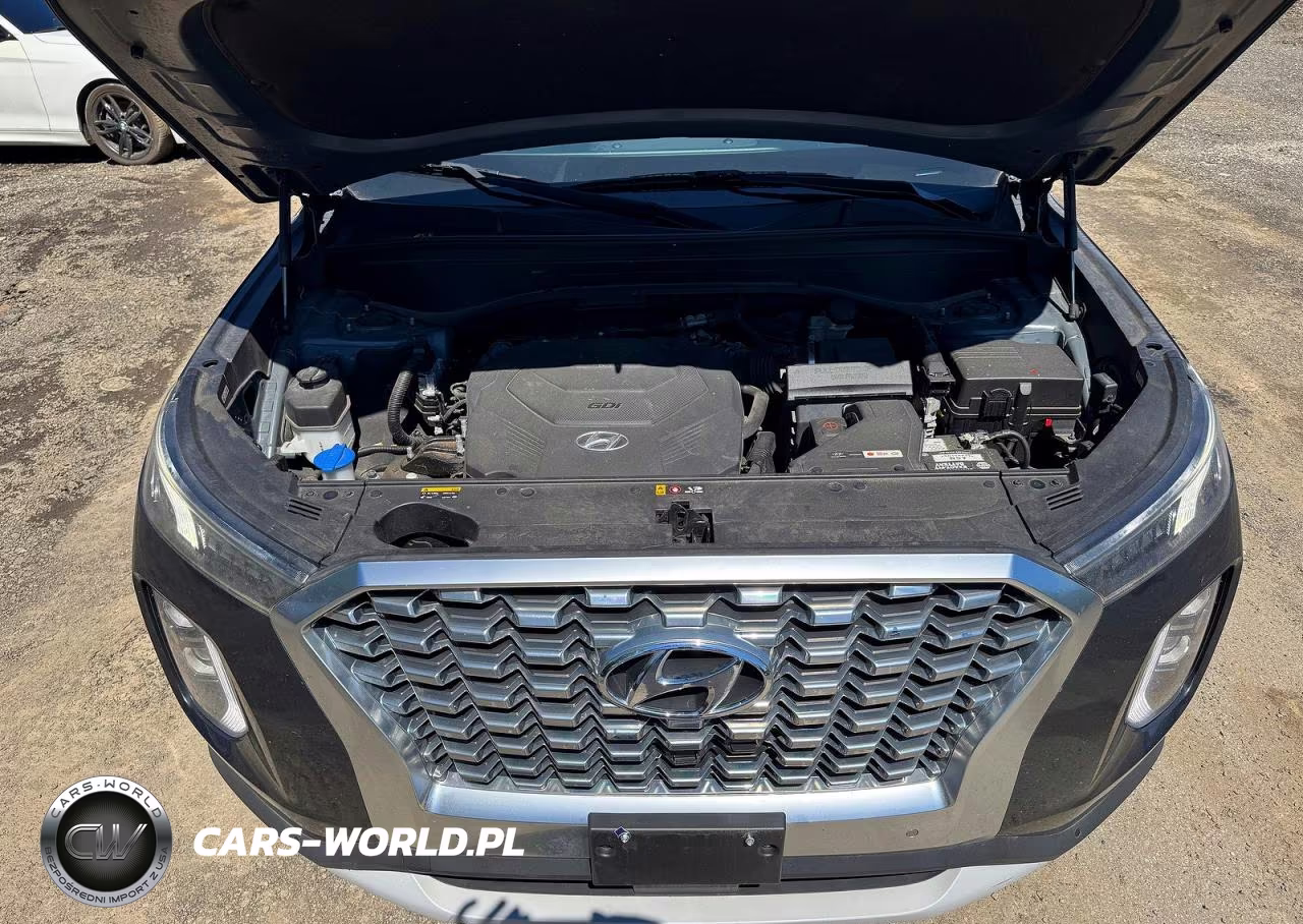 2020 Hyundai Palisade Sel VIN:KM8R4DHE0LU066415 - 7