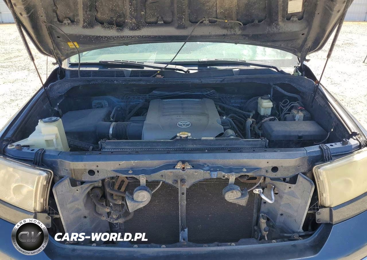 2010 Toyota Tundra Crewmax Limited VIN:5TFHY5F11AX121718 - 11