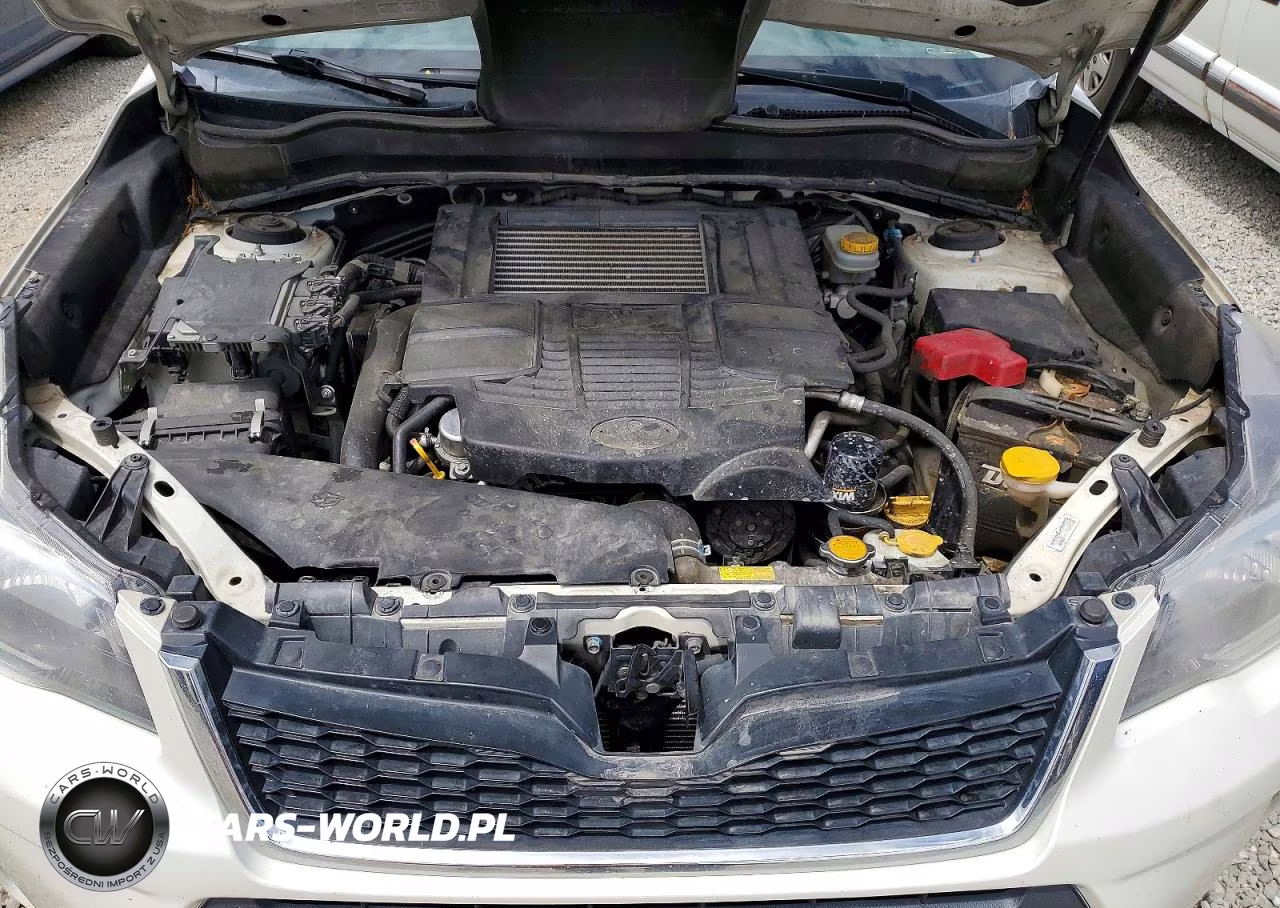 2014 Subaru Forester 2.0Xt Touring VIN:JF2SJGMC4EH510378 - 12