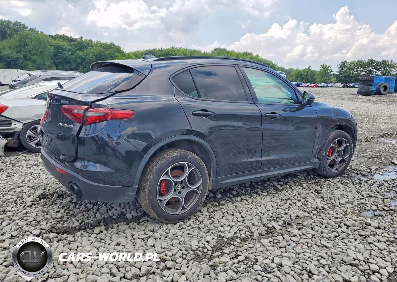 2022 Alfa Romeo Stelvio VIN:ZASPAKAN9N7D30629 - 3