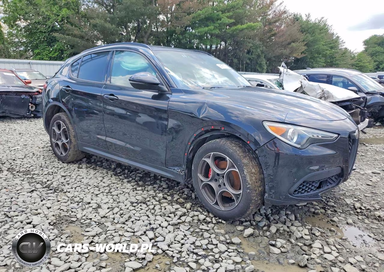 2022 Alfa Romeo Stelvio VIN:ZASPAKAN9N7D30629 - 4