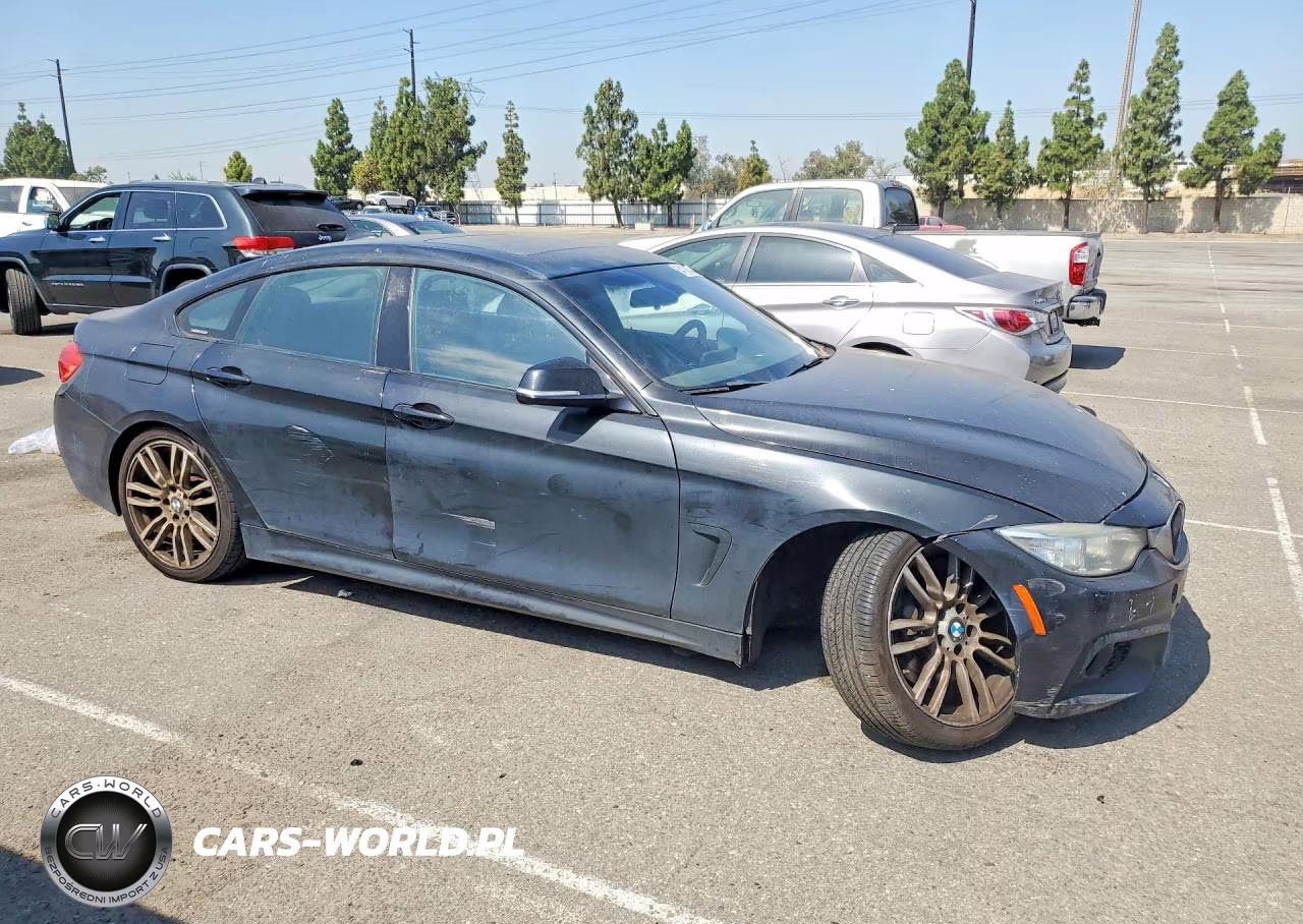 2016 BMW 428 I Gran Coupe Sulev VIN:WBA4A9C57GG695408 - 4