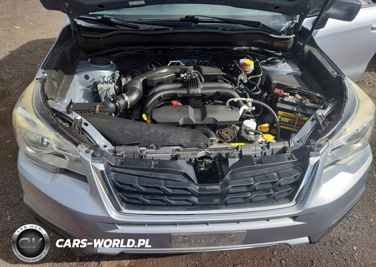 2017 Subaru Forester 2.5I VIN:JF2SJAAC7HH527066 - 12