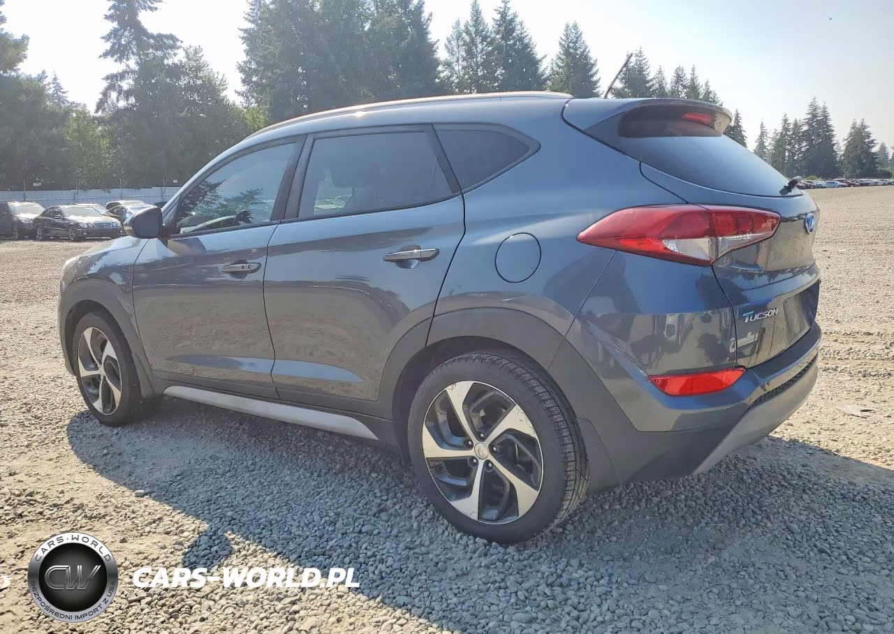 2017 Hyundai Tucson Sport VIN:KM8J3CA26HU394116 - 2