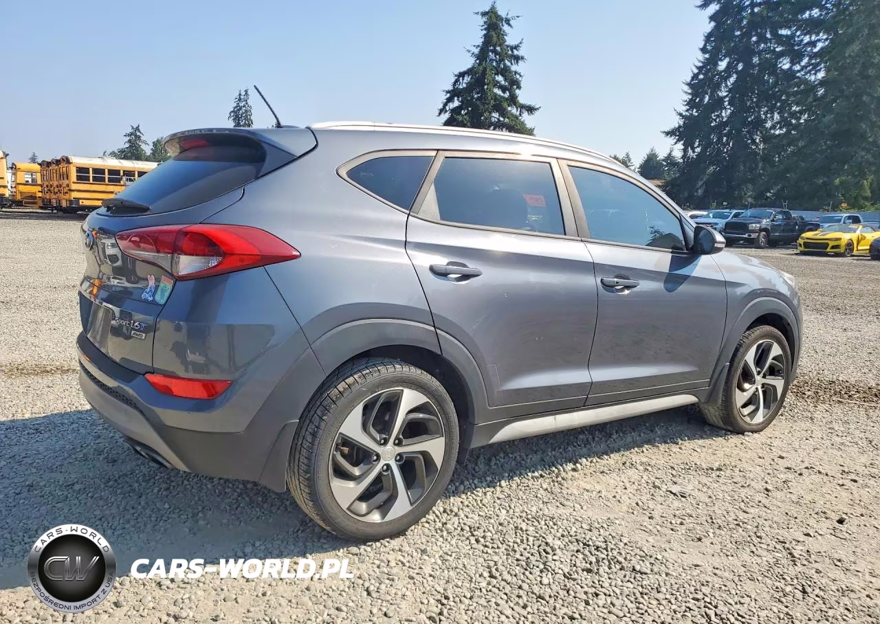2017 Hyundai Tucson Sport VIN:KM8J3CA26HU394116 - 3