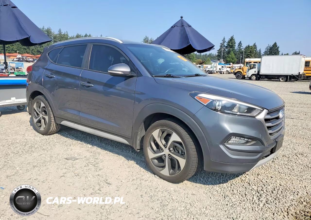 2017 Hyundai Tucson Sport VIN:KM8J3CA26HU394116 - 4