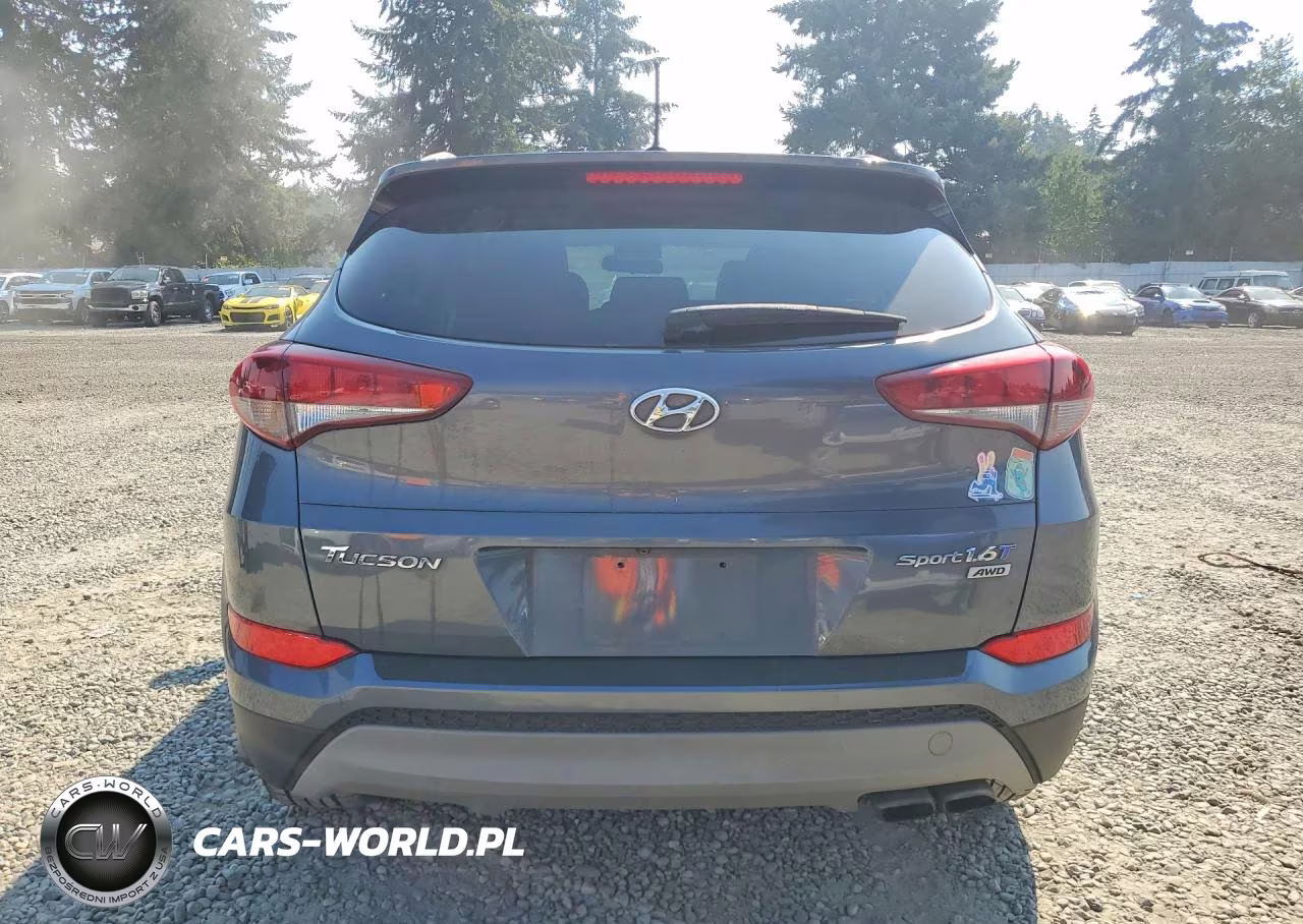 2017 Hyundai Tucson Sport VIN:KM8J3CA26HU394116 - 6