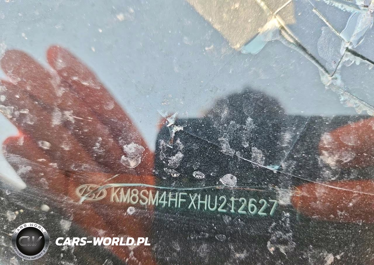 2017 Hyundai Santa Fe Se VIN:KM8SM4HFXHU212627 - 13