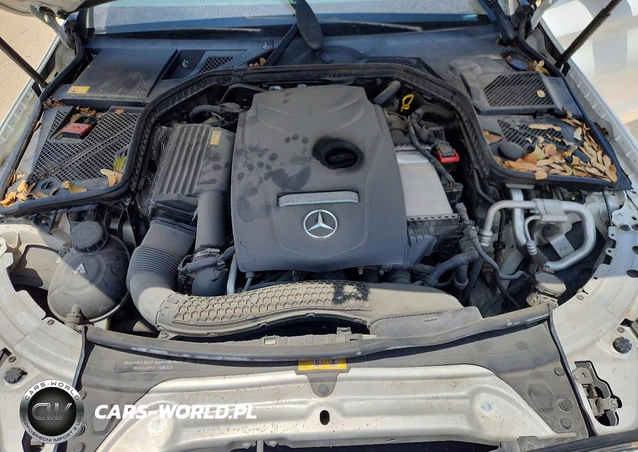 2015 Mercedes-Benz C 300 4Matic VIN:55SWF4KB4FU032098 - 11