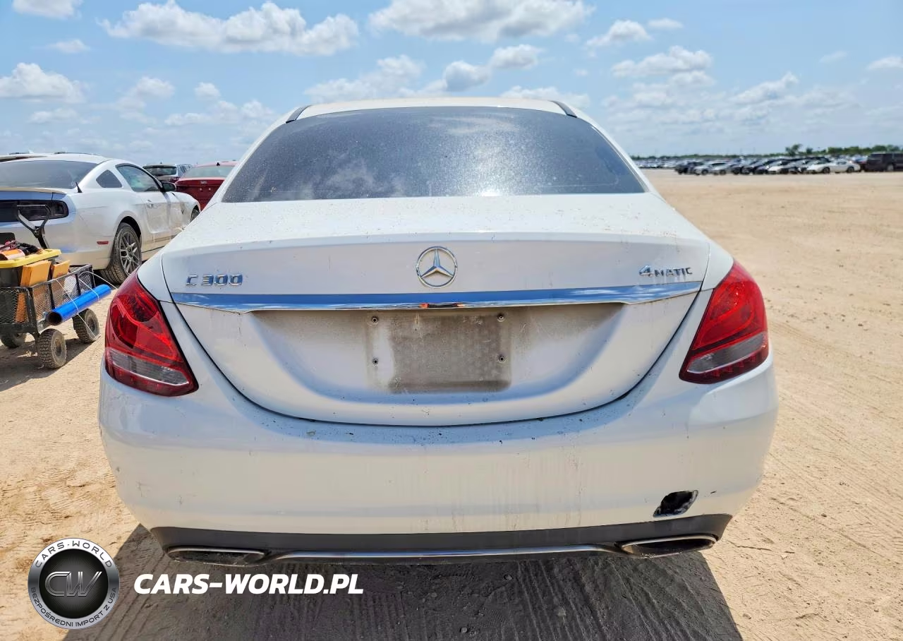 2015 Mercedes-Benz C 300 4Matic VIN:55SWF4KB4FU032098 - 6
