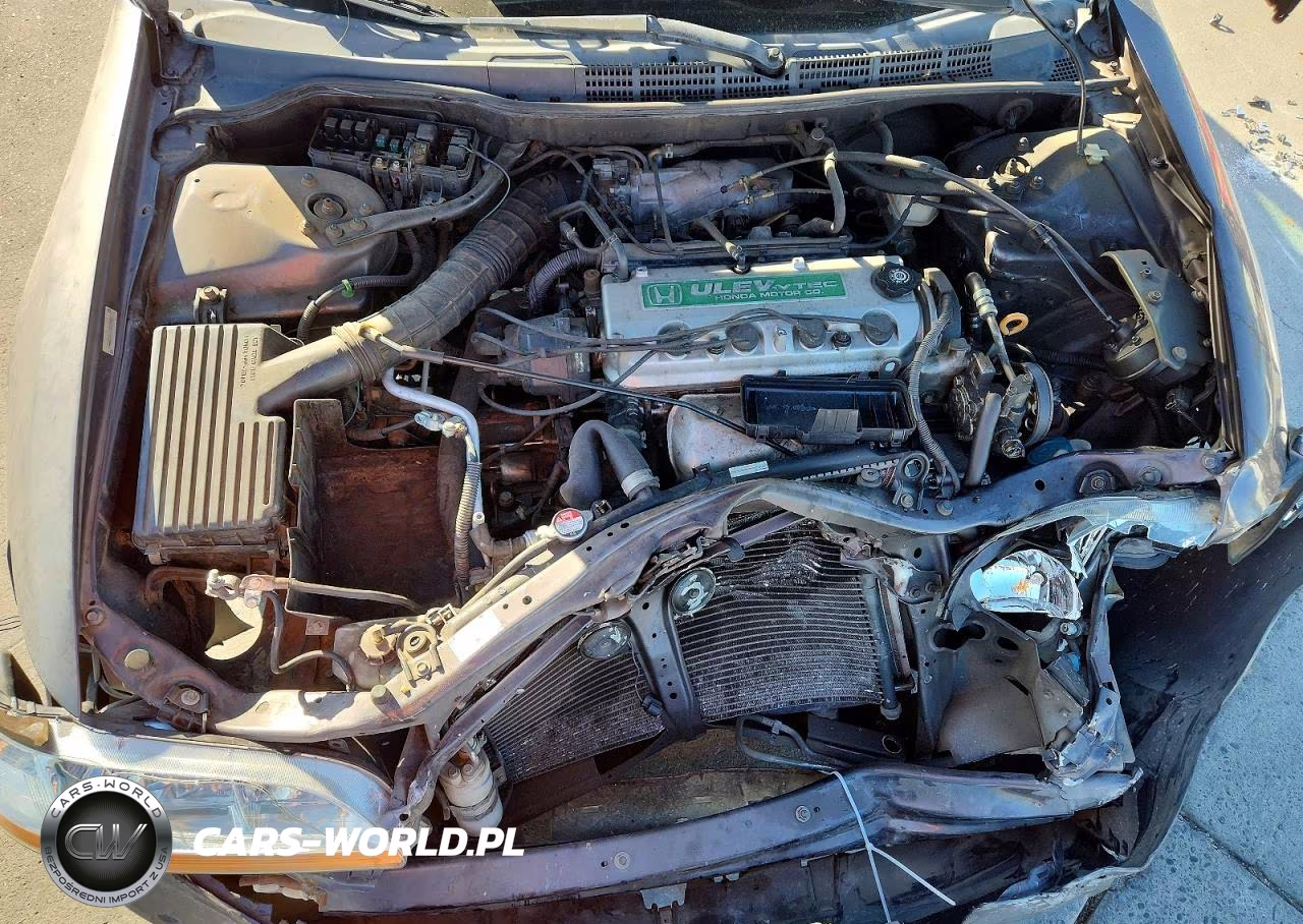 1999 Honda Accord Lx VIN:JHMCG6658XC017702 - 11