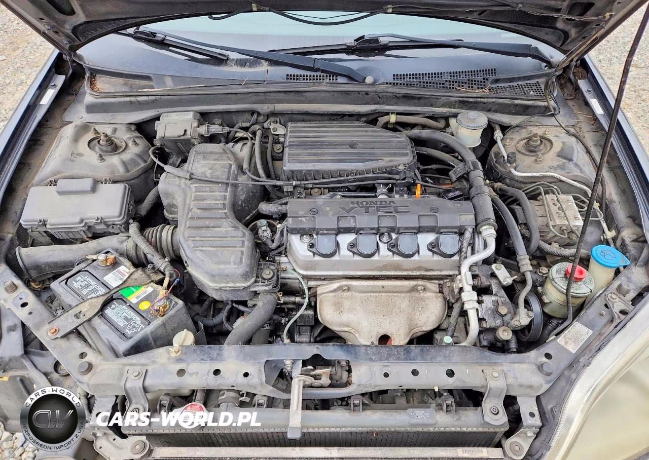 2003 Honda Civic Ex VIN:1HGEM22963L013860 - 11
