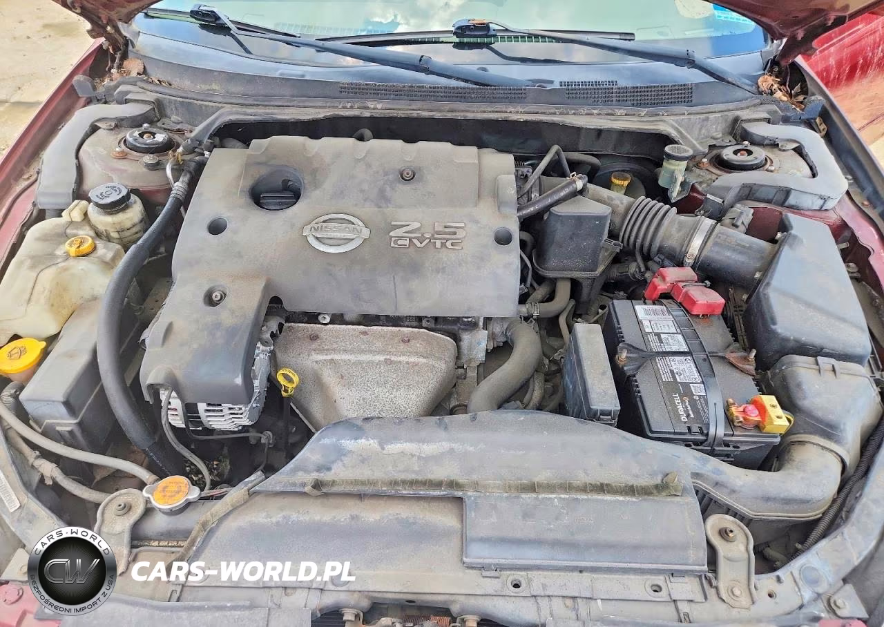 2003 Nissan Altima 2.5 VIN:1N4AL11D53C171032 - 11