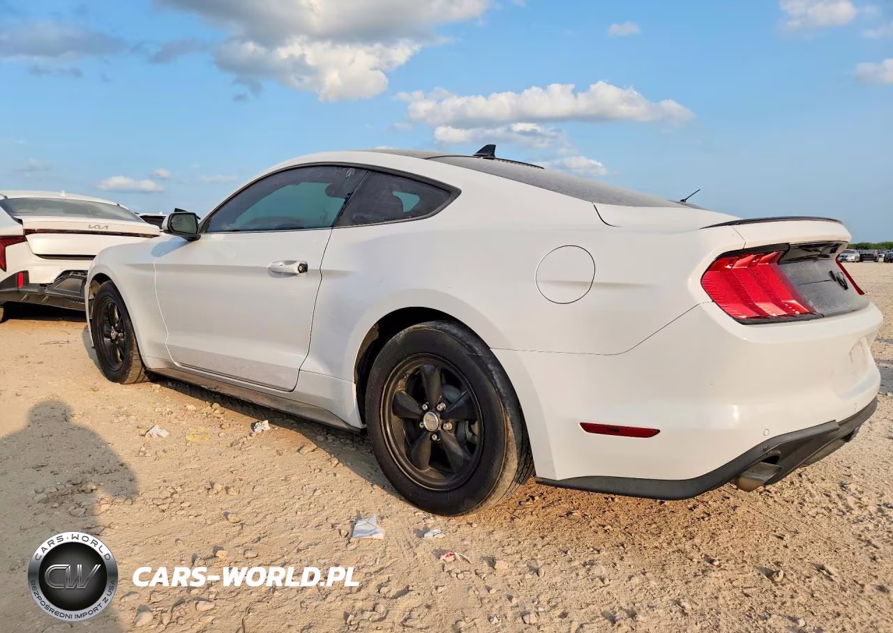 2020 Ford Mustang VIN:1FA6P8TH7L5158404 - 2