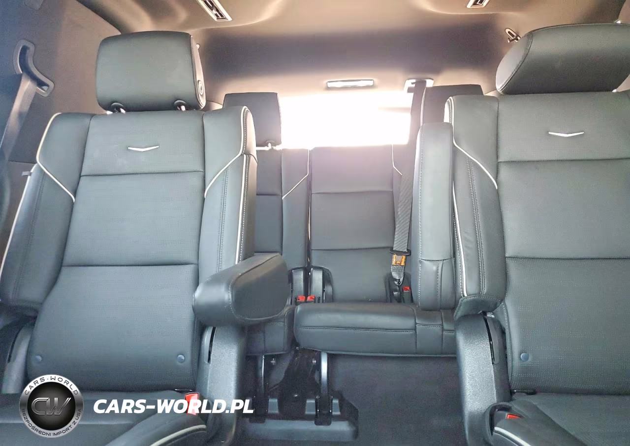 2023 Cadillac Escalade Premium Luxury VIN:1GYS4BKL9PR384313 - 10
