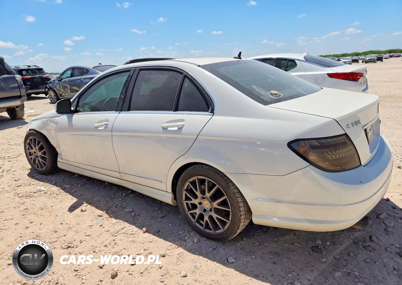 2009 Mercedes-Benz C 300 VIN:WDDGF54X39R041254 - 2