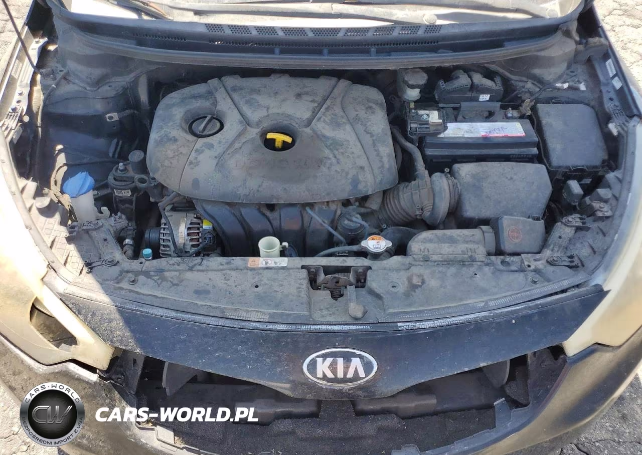 2014 Kia Forte Lx VIN:KNAFK4A69E5226088 - 11