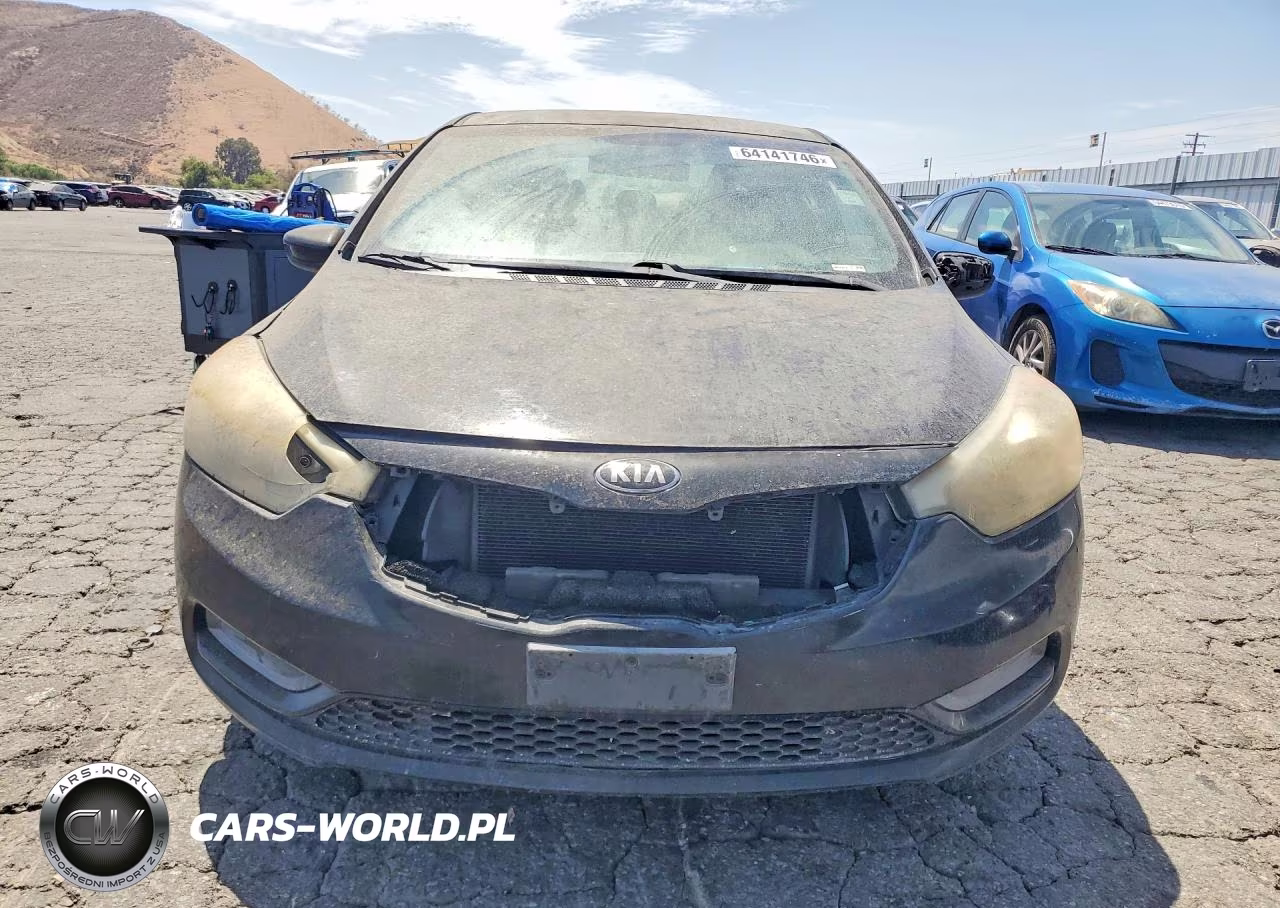2014 Kia Forte Lx VIN:KNAFK4A69E5226088 - 5
