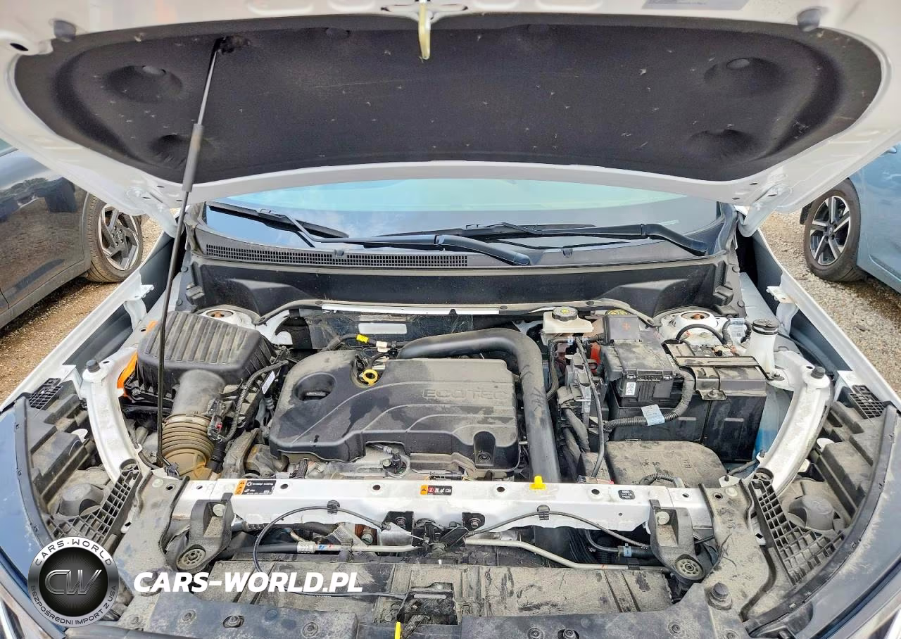 2023 GMC Terrain Slt VIN:3GKALPEG7PL202779 - 11