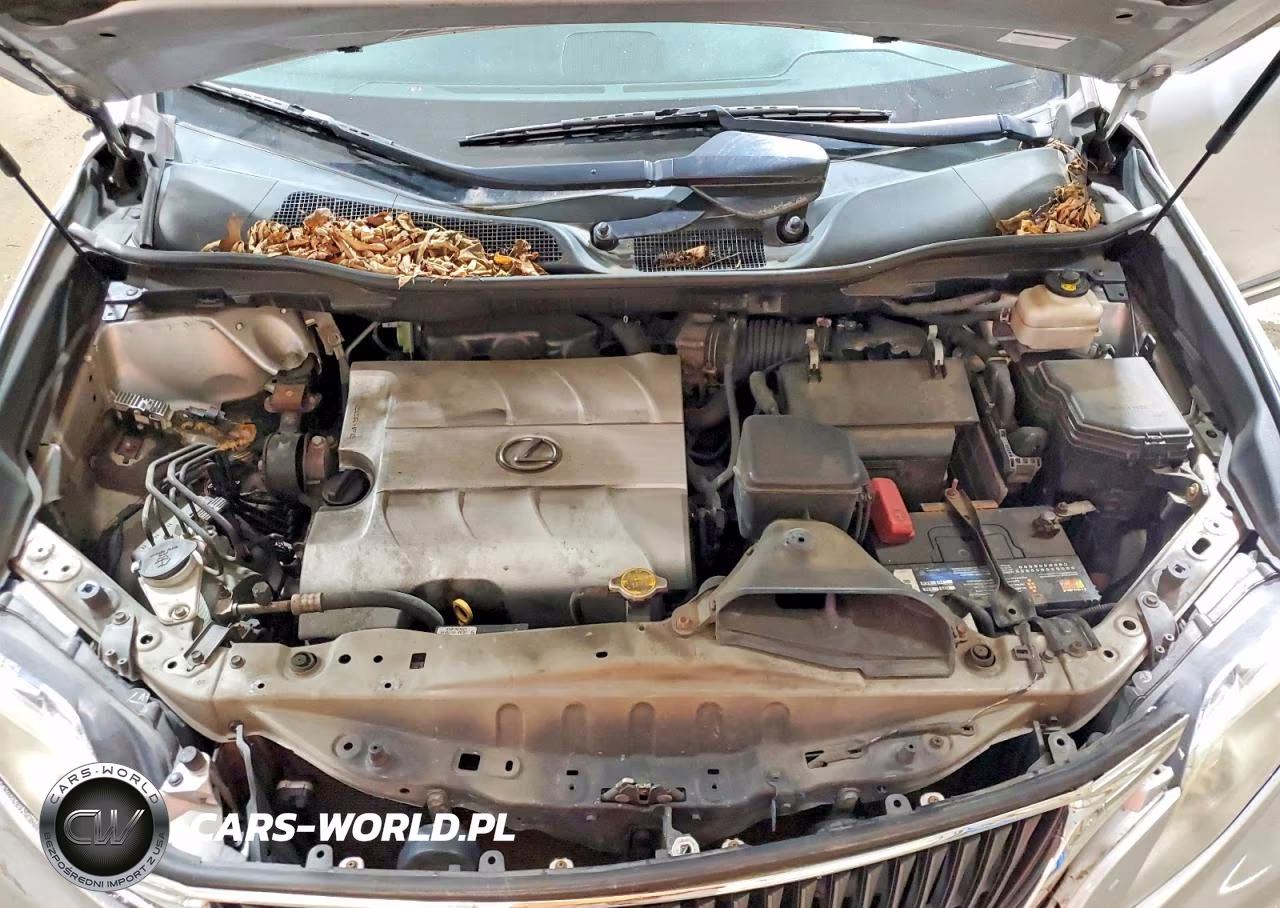 2020 Dodge Grand Caravan Sxt VIN:2T2BK1BA9AC024072 - 12