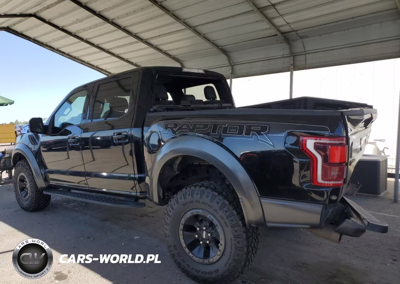 2017 Ford F150 Raptor VIN:1FTFW1RG7HFA54158 - 2