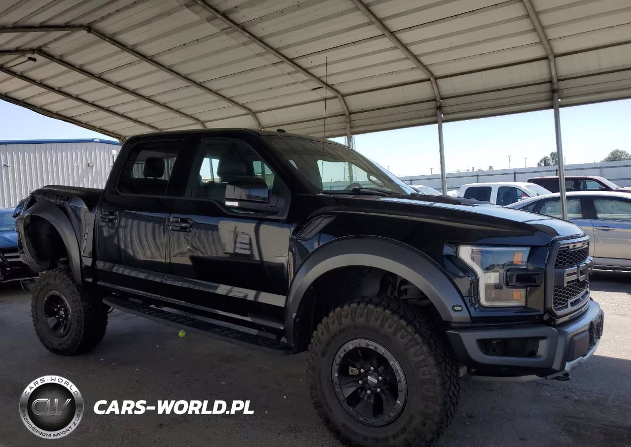 2017 Ford F150 Raptor VIN:1FTFW1RG7HFA54158 - 4
