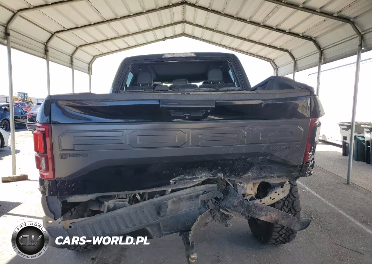 2017 Ford F150 Raptor VIN:1FTFW1RG7HFA54158 - 6