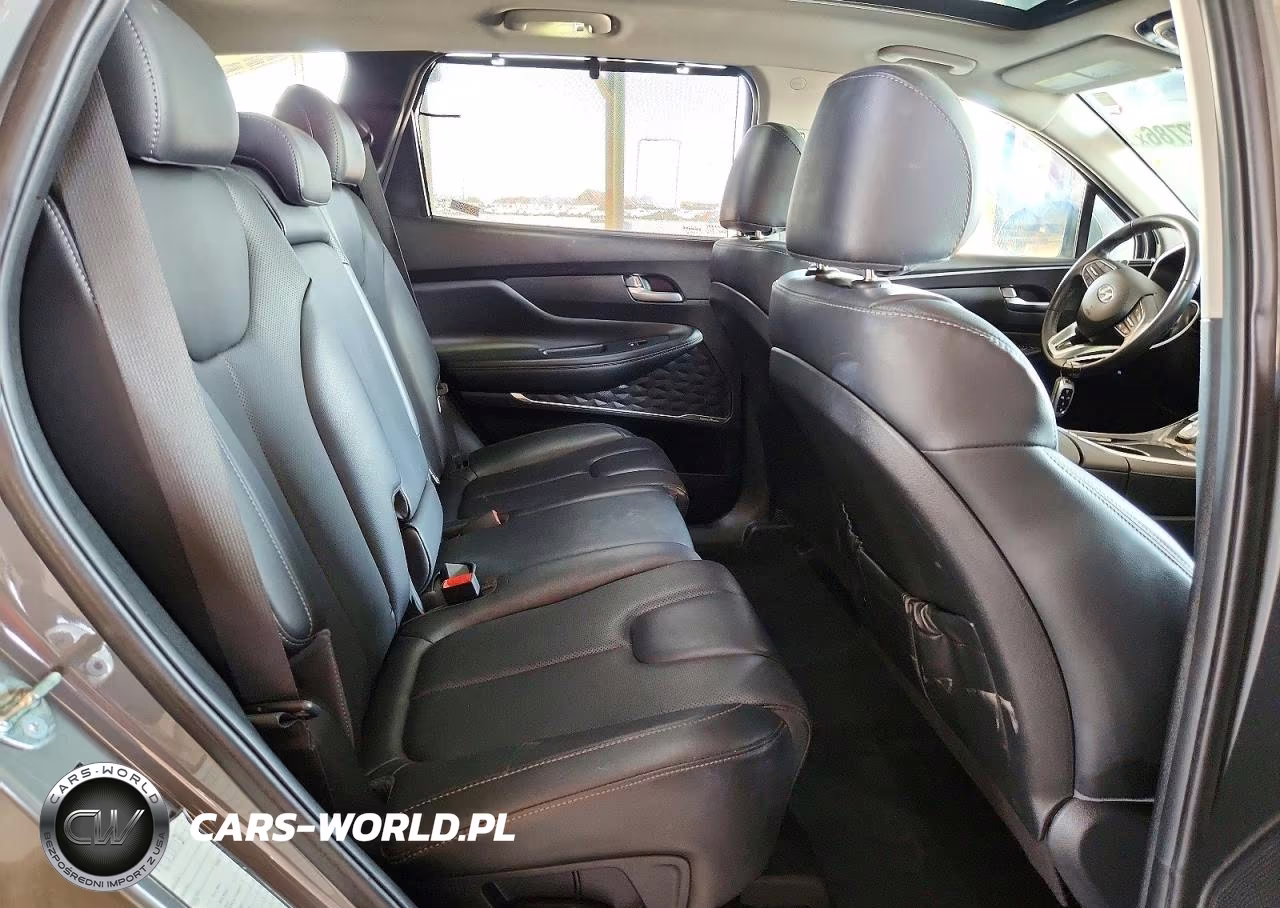 2023 Hyundai Santa Fe Sel Premium VIN:5NMS3DAJ3PH639983 - 11