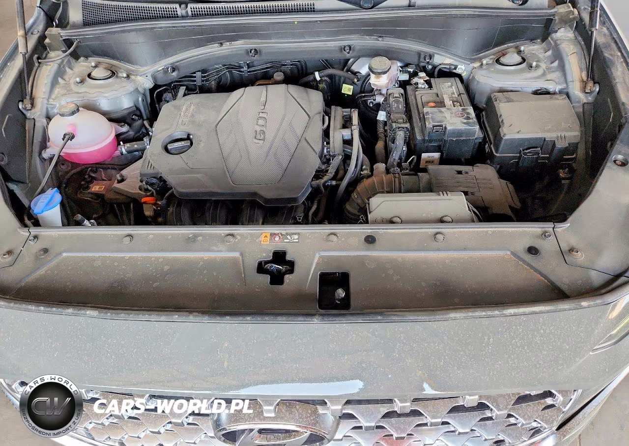2023 Hyundai Santa Fe Sel Premium VIN:5NMS3DAJ3PH639983 - 12