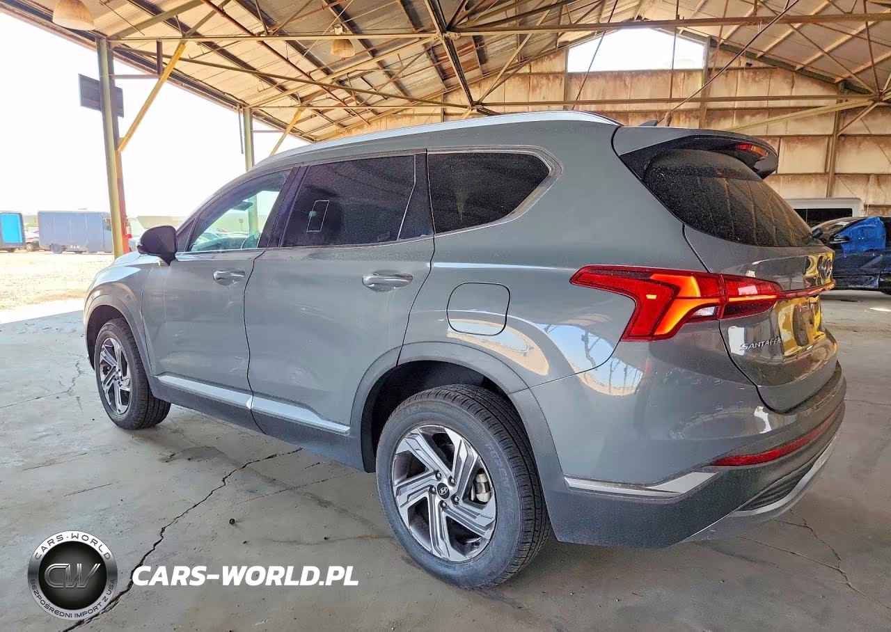 2023 Hyundai Santa Fe Sel Premium VIN:5NMS3DAJ3PH639983 - 2