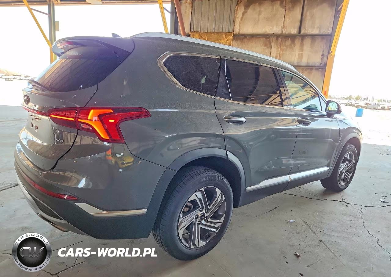 2023 Hyundai Santa Fe Sel Premium VIN:5NMS3DAJ3PH639983 - 3