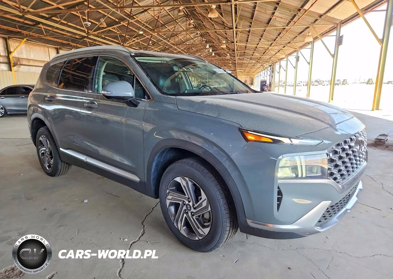 2023 Hyundai Santa Fe Sel Premium VIN:5NMS3DAJ3PH639983 - 4