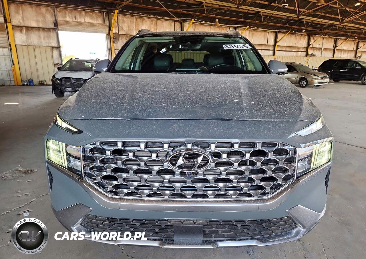 2023 Hyundai Santa Fe Sel Premium VIN:5NMS3DAJ3PH639983 - 5
