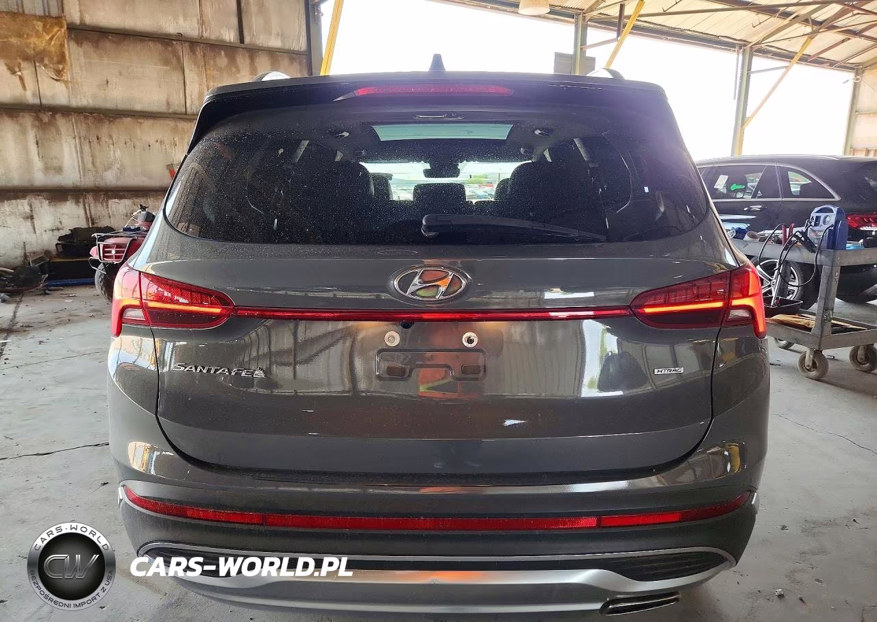 2023 Hyundai Santa Fe Sel Premium VIN:5NMS3DAJ3PH639983 - 6