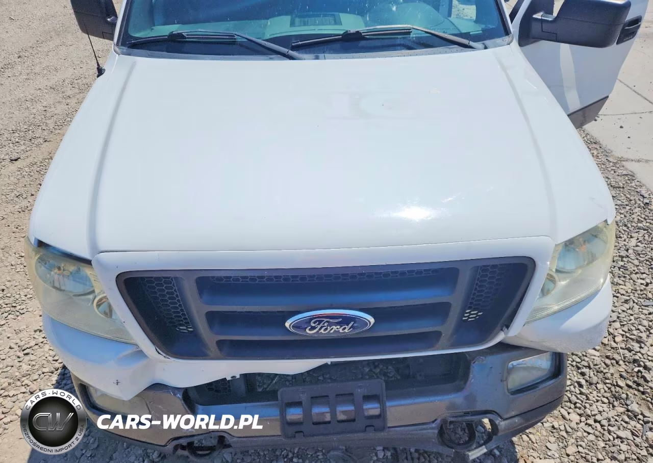 2004 Ford F150 VIN:1FTPX14584NB45124 - 11