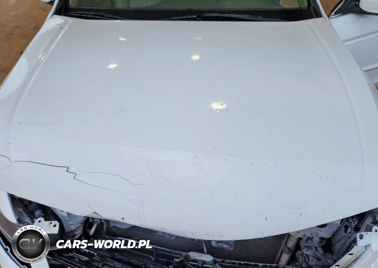 2009 Honda Accord Exl VIN:1HGCP26899A166060 - 11
