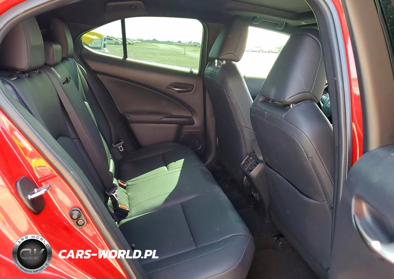2020 Lexus Ux 250H VIN:JTHP9JBH6L2022668 - 10