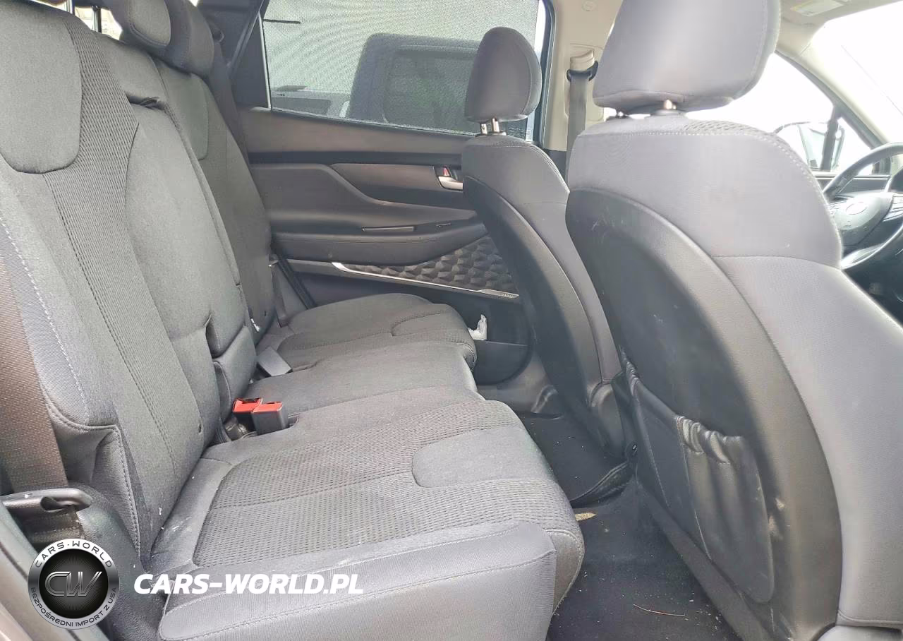 2019 Hyundai Santa Fe Sel Plus 2.4L VIN:5NMS3CAD7KH035835 - 11