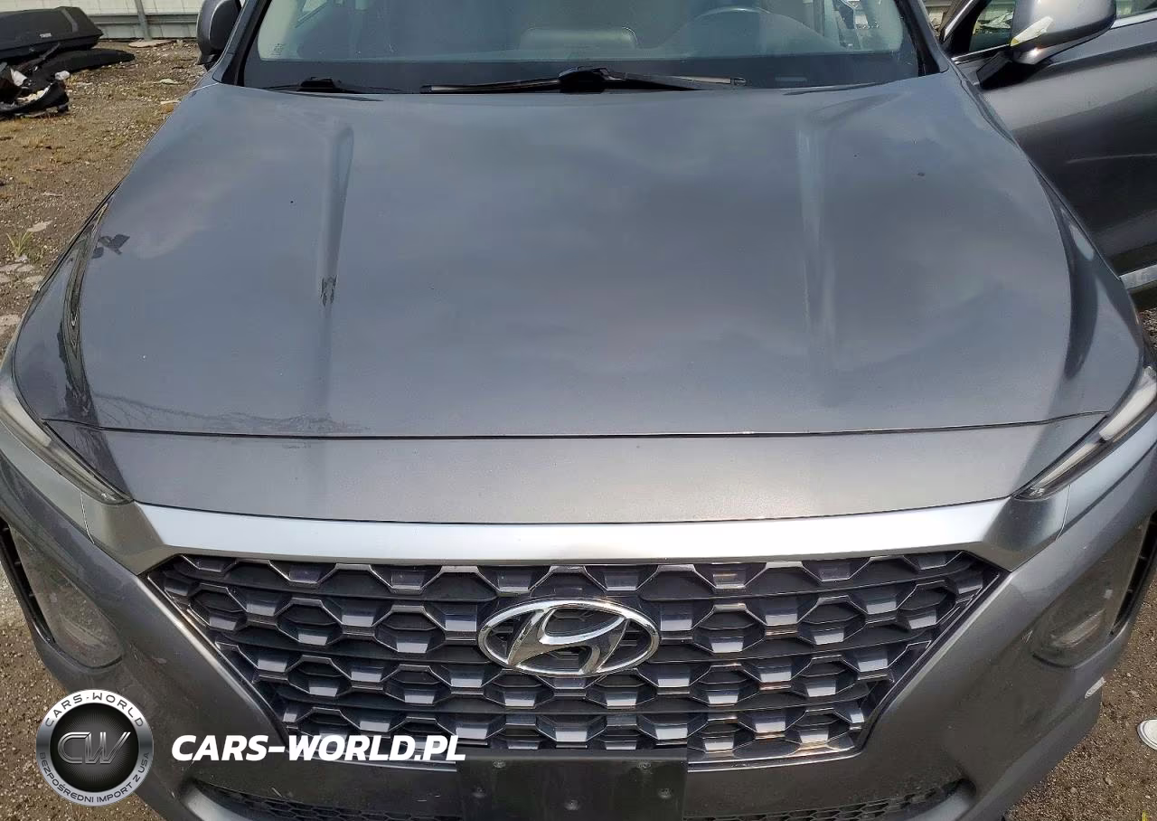 2019 Hyundai Santa Fe Sel Plus 2.4L VIN:5NMS3CAD7KH035835 - 12